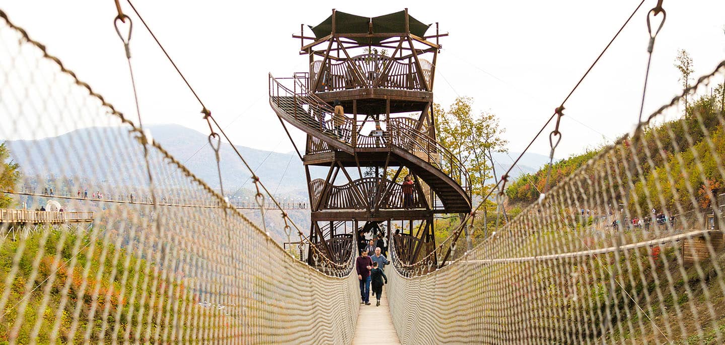 Gatlinburg SkyTrail